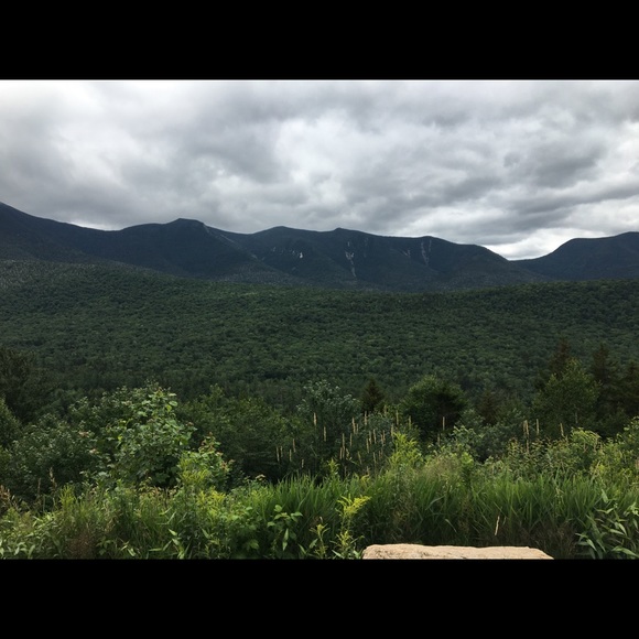 Meet your Posher, Laura - Picture 1 of 1